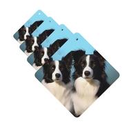Lot de 4 cartes désodorisantes Border Collie pour voiture, cartes parfumées à suspendre pour chambre à coucher, armoire, voiture, tablettes d'aromathérapie pour homme et femme