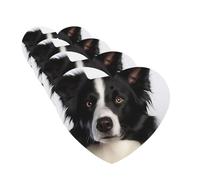 Lot de 4 cartes désodorisantes Border Collie pour voiture - Cartes parfumées à suspendre - Tablettes d'aromathérapie personnalisées - Cadeaux pour homme et femme - Parfum lavande