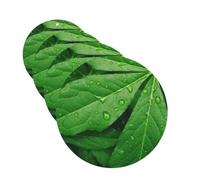 Lot de 4 cartes désodorisantes de voiture à motif feuilles vertes pour homme et femme - Accessoires de voiture mignons - Diffuseur de parfum durable à suspendre - Tablettes d'aromathérapie pour