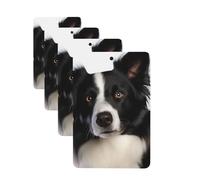 Lot de 4 cartes désodorisantes pour voiture Border Collie - Cadeau personnalisé pour homme et femme - Tablettes d'aromathérapie à suspendre - Cartes parfumées pour armoire de salle de bain
