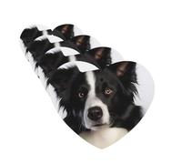 Lot de 4 cartes désodorisantes pour voiture Border Collie - Cadeau personnalisé pour homme et femme - Tablettes d'aromathérapie à suspendre - Cartes parfumées pour armoire de salle de bain