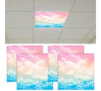 Lot de 4 couvertures magnétiques fluorescentes de 6,1 x 6,1 m pour plafonnier de salle de classe réduisant les reflets agressifs avec filtres LED pour bureau, maison, hôpital, studio, école (nuage