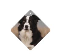 Lot de 4 désodorisants à suspendre pour voiture, cartes parfumées, tablettes d'aromathérapie, border collie, désodorisant de voiture, miroir intérieur, pendentif, cadeaux pour femmes et hommes