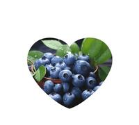 Lot de 4 désodorisants de voiture à motif de myrtilles délicieuses - Cadeaux durables pour homme et femme - Tablettes d'aromathérapie à suspendre - Parfum lavande