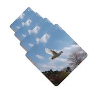 Lot de 4 désodorisants de voiture à suspendre - Cartes parfumées pour SUV - Braguette blanche - Tablettes d'aromathérapie - Pendentif miroir intérieur pour chambre à coucher, armoire, armoire à
