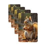 Lot de 4 désodorisants de voiture à suspendre - Cartes parfumées pour SUV - Écureuil mignon mangeant des noix, tablettes d'aromathérapie de voiture, miroir intérieur de voiture, pendentif pour chambre