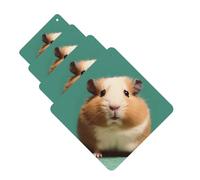 Lot de 4 désodorisants de voiture à suspendre - Cartes parfumées pour SUV, hamster mignon et bizarre, tablette d'aromathérapie, miroir intérieur de voiture, pendentif pour chambre à coucher, armoire