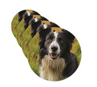 Lot de 4 désodorisants de voiture à suspendre - Cartes parfumées pour SUV, Mohado Border Collie, chien, aromathérapie, tablette, miroir intérieur pour chambre à coucher, armoire, armoire à chaussures