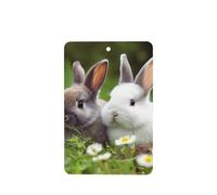 Lot de 4 désodorisants de voiture à suspendre - Cartes parfumées - Tablettes d'aromathérapie de voiture - Deux petits lapins mignons - Désodorisant de voiture - Pendentif miroir - Cadeaux pour femmes