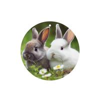 Lot de 4 désodorisants de voiture à suspendre - Cartes parfumées - Tablettes d'aromathérapie de voiture - Deux petits lapins mignons - Désodorisant de voiture - Pendentif miroir - Cadeaux pour femmes