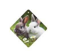 Lot de 4 désodorisants de voiture à suspendre - Cartes parfumées - Tablettes d'aromathérapie de voiture - Deux petits lapins mignons - Désodorisant de voiture - Pendentif miroir - Cadeaux pour femmes