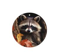 Lot de 4 désodorisants de voiture à suspendre - Cartes parfumées - Tablettes d'aromathérapie de voiture - Raton laveur dans le trou d'arbre d'automne - Désodorisant de voiture - Pendentif miroir