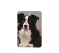 Lot de 4 désodorisants de voiture à suspendre, pastilles parfumées, parfum Border Collie, pendentif pour rétroviseur intérieur, pour femmes et hommes.