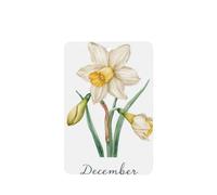 Lot de 4 désodorisants de voiture aquarelle Narcisse Fleur de décembre Cartes parfumées à suspendre Cartes parfumées pour tablettes d'aromathérapie de voiture