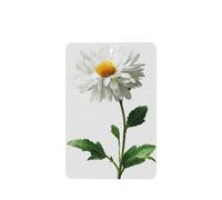 Lot de 4 désodorisants de voiture avec marguerite blanche avec tiges et feuilles - Cartes parfumées à suspendre - Pour tablettes d'aromathérapie de voiture