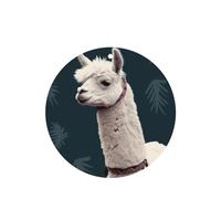 Lot de 4 désodorisants de voiture en alpaga lama - Longue durée - Cadeaux pour homme et femme - Tablettes d'aromathérapie à suspendre - Parfum lavande