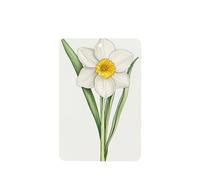 Lot de 4 désodorisants de voiture en forme de fleur de narcisse - Cartes parfumées à suspendre - Pour tablettes d'aromathérapie de voiture