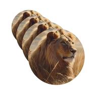 Lot de 4 désodorisants de voiture - Motif lion de prairie - Cartes parfumées à suspendre - Parfum durable - Tablettes d'aromathérapie de voiture - Pendentif pour rétroviseur de voiture, armoire à