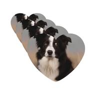 Lot de 4 désodorisants décoratifs pour voiture - Longue durée - Parfum à suspendre - Border Collie - Tablettes d'aromathérapie pour rétroviseur - Pour homme et femme