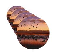 Lot de 4 désodorisants décoratifs pour voiture - Longue durée - Parfum à suspendre - Bosque del Apache - Refuge de la faune - Tablettes d'aromathérapie - Pendentif pour rétroviseur - Pour homme et