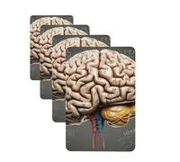Lot de 4 désodorisants décoratifs pour voiture - Longue durée - Parfum cerveau humain - Tablette d'aromathérapie - Pendentif de rétroviseur - Pour homme et femme