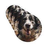 Lot de 4 désodorisants décoratifs pour voiture - Longue durée - Parfum pasteur Border Collie - Tablettes d'aromathérapie - Pendentif de rétroviseur - Pour homme et femme