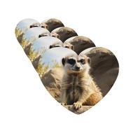 Lot de 4 désodorisants décoratifs pour voiture - Longue durée - Parfum suricate - Aromathérapie - Pour rétroviseur - Pour homme et femme