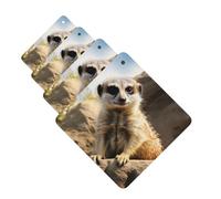 Lot de 4 désodorisants décoratifs pour voiture - Longue durée - Parfum suricate - Aromathérapie - Pour rétroviseur - Pour homme et femme