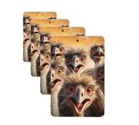 Lot de 4 désodorisants pour voiture - Cartes parfumées à suspendre - Pour SUV - A Flock of Autruches - Tablettes d'aromathérapie - Miroir intérieur - Pour chambre à coucher, armoire, armoire à