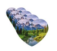 Lot de 4 désodorisants pour voiture Parc national - Cartes parfumées à suspendre - Tablettes d'aromathérapie pour voiture, armoire, salle de bain, voiture, miroir intérieur