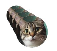 Lot de 4 désodorisants pour voiture - Un chat curieux - Cartes parfumées à suspendre - Parfum durable - Tablettes d'aromathérapie de voiture - Pendentif de rétroviseur pour armoire à chaussures