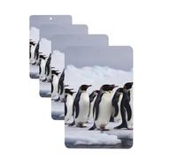Lot de 4 désodorisants rectangulaires à suspendre pour voiture, maison, bureau, placard, salle de bain - Motif pingouins de l'Antarctique