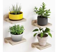 Lot de 4 étagères murales en bois pour plantes, étagères rustiques flottantes très résistantes pour fleurs et herbes aromatiques, décoration d'intérieur, plantes en pot, 13 x 13 cm, 1,5 cm d'épaisseur
