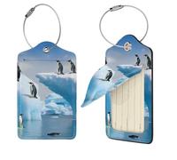 Lot de 4 étiquettes de bagage Penguins On The Iceberg en cuir synthétique avec protection de l'intimité et boucle en acier inoxydable pour homme et femme