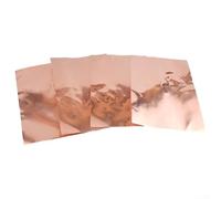 Lot de 4 feuilles de blindage en cuivre pour guitare 30 x 20 cm pour contrôle du bruit EMI RFI