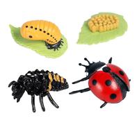 Lot De 4 Figurines De Coccinelles Illustrant Le Cycle De Vie des Insectes, Kit De Modélisation du Cycle De Croissance, À Sept Points, Outil Pédagogique pour Le Jeu Collection.