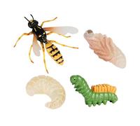 Lot De 4 Figurines De Croissance Guêpe, Cycle De Vie, Jouets Éducatifs Pour Enfants