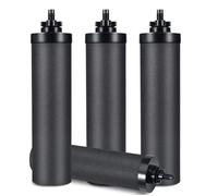 Lot de 4 filtres de rechange pour système de gravité BB9-2 noirs pour filtre à eau Berkey