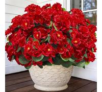 Lot de 4 fleurs de géraniums artificielles pour extérieur - Fleurs rouges en soie résistantes aux UV - Ne se décolorent pas - Fleurs de cimetière artificielles pour jardin, terrasse, intérieur