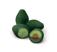 Lot de 4 gommes effacer Fred Avocado authentiques, vertes