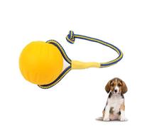 Lot de 4 jouets pour chien avec disque volant et balle en corde pour chien, matériau EVA durable, jouet interactif pour l'ennui, nettoyage des dents dentaires, pour animaux de compagnie de grande et