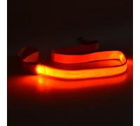 Lot de 4 laisses lumineuses rechargeables en nylon imperméable avec poignée confortable pour promener la nuit en toute sécurité pour animal domestique LED