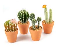 Lot de 4 Mini Cactus artificiels en Pots en Terre Cuite - Plantes succulentes artificielles Assorties - pour la Maison, la Cuisine, la Salle de Bain, Le Bureau, la décoration intérieure