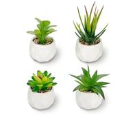 Lot de 4 mini plantes succulentes artificielles - Décoration de bureau jaune pour chambre à coucher, salle de bain, salon, bureau, rebord de fenêtre (blanc)