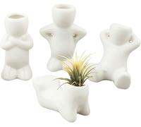 Lot de 4 mini pots en céramique pour plantes aériennes, en forme de poupée, en porcelaine, différentes formes, pour plantes aériennes Tillandsia, DIY