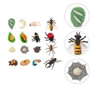 Lot De 4 Modèles De Papillons, Coccinelle Araignée Et Bois Pour Enfants, Cycle De Vie
