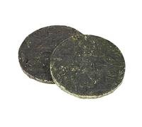 Lot de 4 morceaux de varech séchés biologiques - Riche en iode et en nutriments - Sans sable - Prêt à cuire