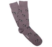 Copa Chaussettes Box