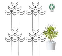 Lot de 4 petits treillis en métal pour plantes grimpantes en plein air, fleurs en pot, plantes d'intérieur, lierre, vigne Hoya
