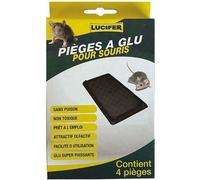 Piège à glue pour Souris - Lot de 4 pièges -